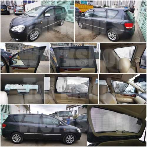 Picnic IPSUM 全車磁石濾光窗網太陽擋