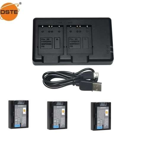 DSTE NP-FH50 H-Series Lithium-Ion Battery With USB Charger 代用鋰電池連充電機