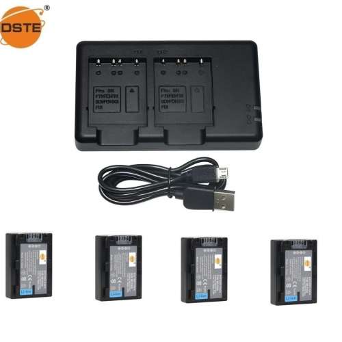DSTE NP-FH50 H-Series Lithium-Ion Battery With USB Charger 代用鋰電池連充電機
