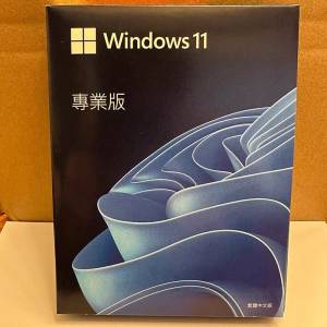 買斷重安裝長用全球最平 windows 10 11 office 2021, 2019, 2016 pro key sofware有...