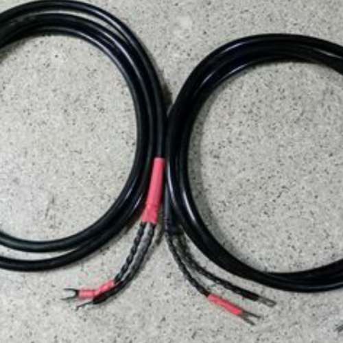 Sound from heaven president x ultimate10 year limiter edition 2.4米