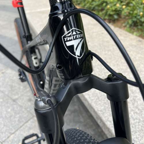 2023 TWITTER 美洲豹 LEOPARD PRO 電變 13速 碳纖維山地車 送水架前後蛙燈叮叮