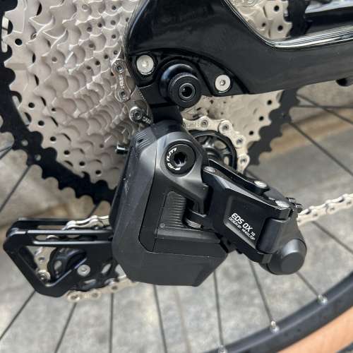 2023 TWITTER 美洲豹 LEOPARD PRO 電變 13速 碳纖維山地車 送水架前後蛙燈叮叮