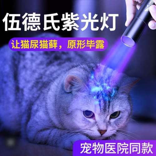Pure UV Light Torch. Rechargeable via USB. 紫外光電筒. 照貓癬/演唱會門票