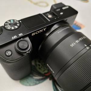 Sony 6100連18-135mm