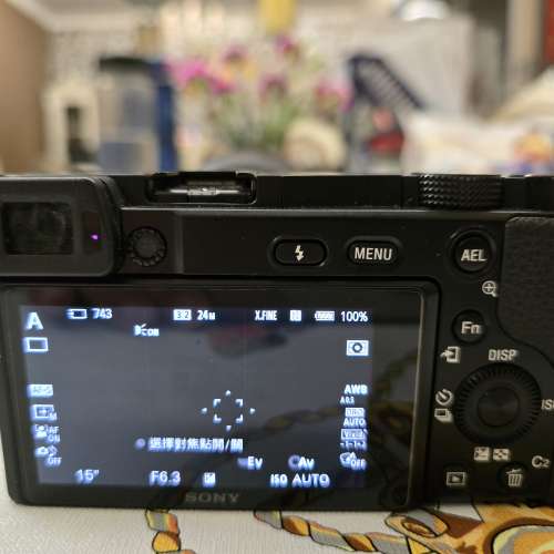 Sony 6100連18-135mm