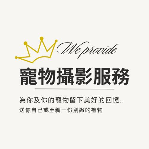 寵物攝影服務