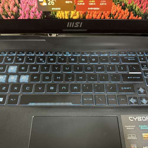 Msi cyborg 15 a12vf