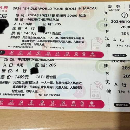 Gidle 澳門演唱會飛