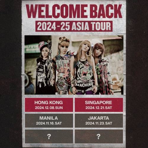 2ne1 香港站 12月8日 代刷