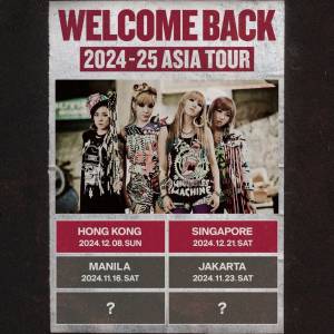 2ne1 香港站 12月8日 代刷