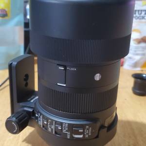 Sigma 100-400/5-6.3