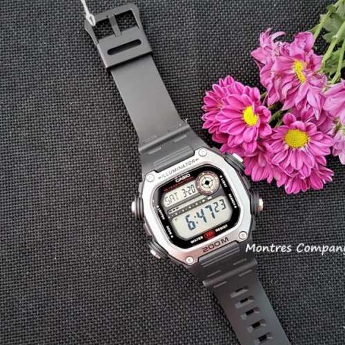 Montres Company 香港註冊公司 (31年老店) 卡西歐 CASIO 十年電池壽命 DW291 DW291...