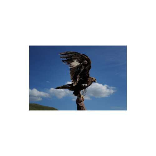 Leica Q3 43 Digital Camera 19084 (Version EU,US,CN)