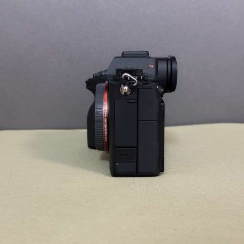 * * Sony A1 ILCE-1 (body + 送直倒) $29.5k * *