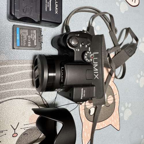 Panasonic DCM FZ5 大光圈CCD 長zoom 數碼相機