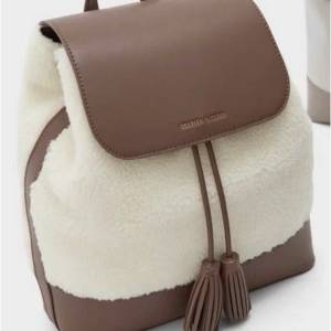 charles&keith bags