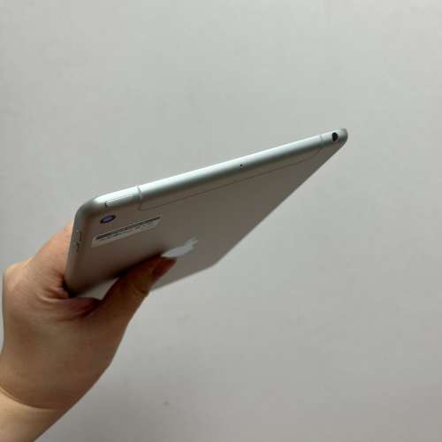 (荃灣實體店，超靚iPad mini 5/插卡版，64gb，新淨完美，可租可賣,租價另議/超高性...