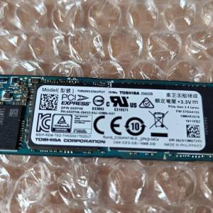 Toshiba 東芝 XG3 NVME M.2 SSD 固態硬碟 256GB