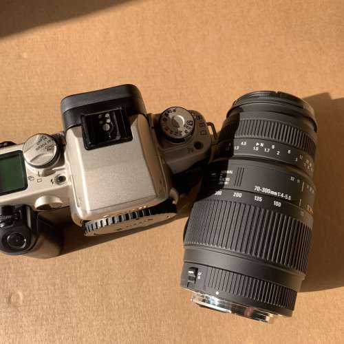 Canon EOS 50QD films body with Sigma AF 70-300 DGMacro