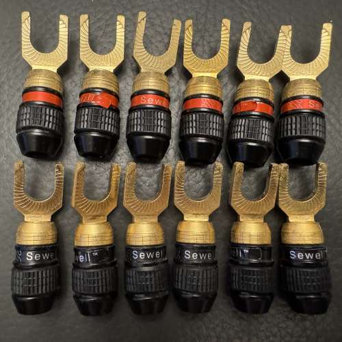 黃金喇叭蕉插/Y插