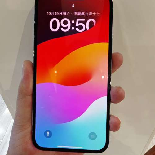 iPhone 13 Pro Max 128g 電91 %，5G 雙咭