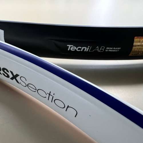 美品tecnifibre 255 rsx section Ｇ2 美品tecnifibre 255 rsx section Ｇ2 Nur用ミレニアムジェイド塗装