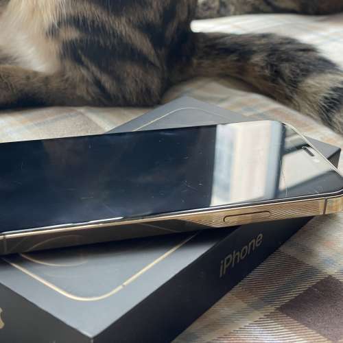 iPhone 12 Pro 128GB 金色 只作後備機使用 電池健康度88%🔋