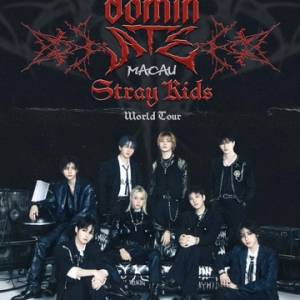 Stray Kids澳門 30/11 $1499坐位 Stray Kids 香港 18/1 $699 $1699坐位 有意歡迎 w...