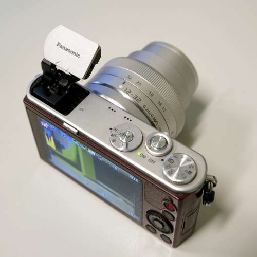 Panasonic LUMIX DMC-GM1S with 12-32mm f/3.5-5.6 ASPH Mega O.I.S