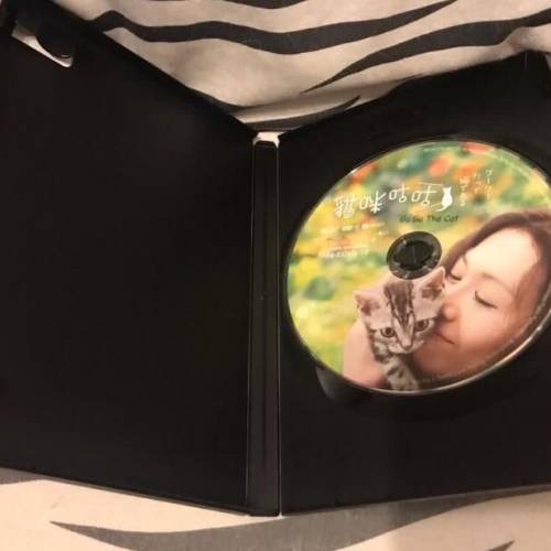 貓咪咕咕 (正版DVD)