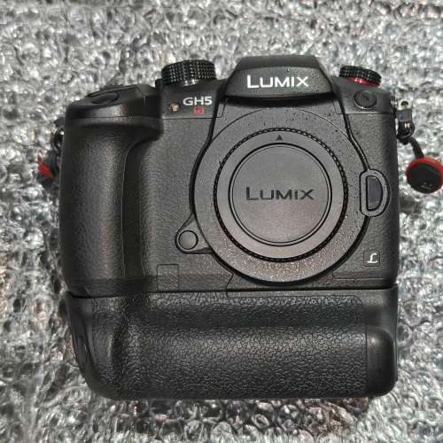 Panasonic GH5s + grip