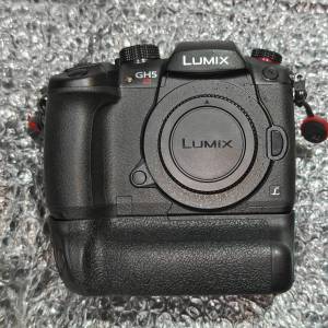 Panasonic GH5s + grip