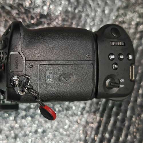 Panasonic GH5s + grip