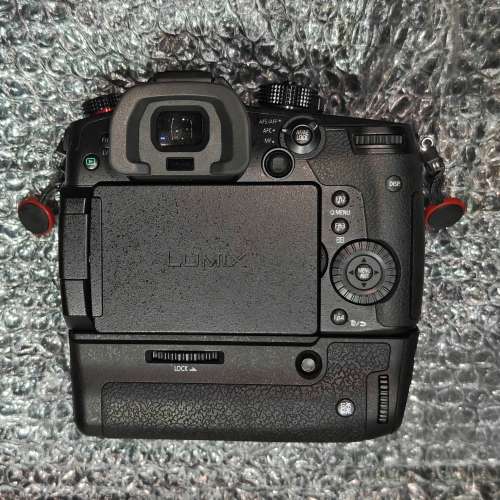 Panasonic GH5s + grip