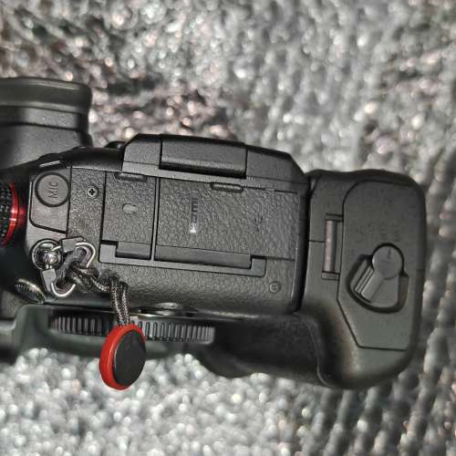 Panasonic GH5s + grip