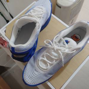Nike shoe