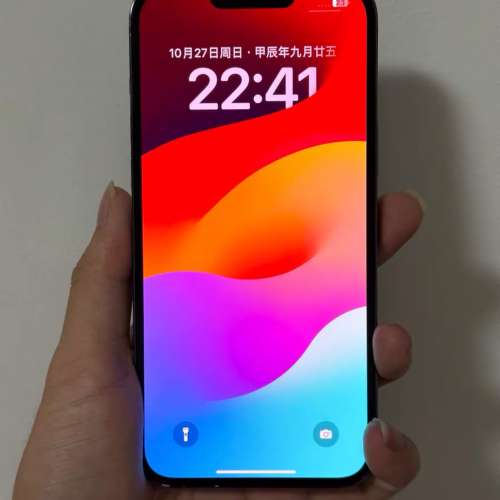 iPhone 13Pro Max 1TB  天峰 港行，5g 雙咭，98%新，電池效率99  %