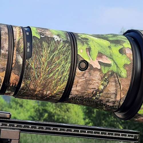 Nikon NIKKOR Z 180-600mm   F5.6-6.3 VR