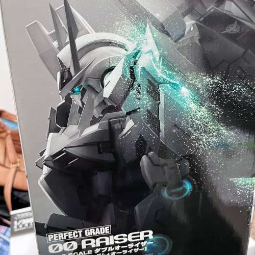 全新 1/60 RAISER 模型