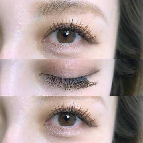 植睫毛 嫁接睫毛 種睫毛 日式睫毛 濃密睫毛 自然睫毛