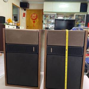 絕對經典，超級靚聲！BOSE 301-II Speaker 無穿無爛。當年感覺返哂嚟！