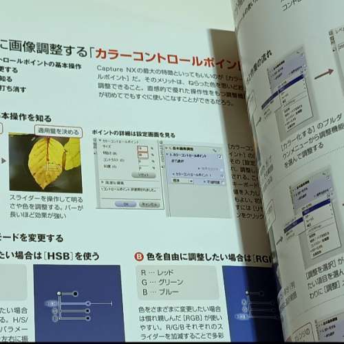 Nikon D300完全Guide Book