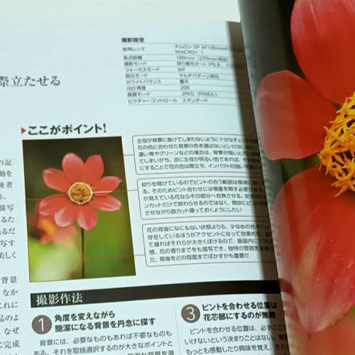 Nikon D300完全Guide Book