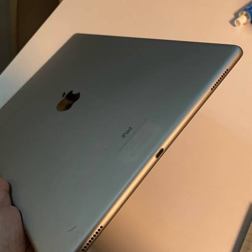 Apple iPad Pro 12.9” 256g WiFi 有中文