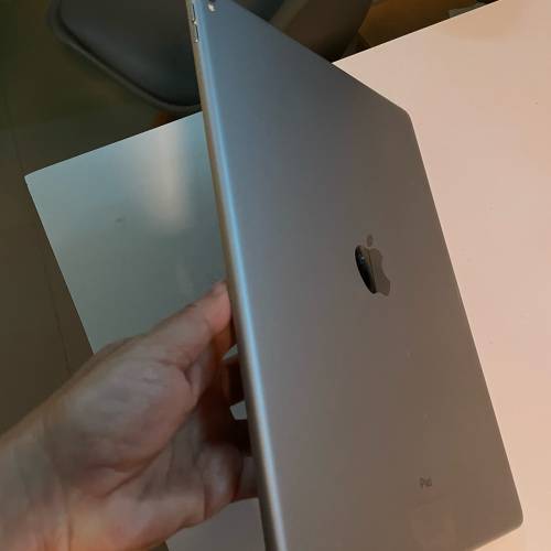 Apple iPad Pro 12.9” 256g WiFi 有中文