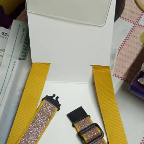 香港迪士尼樂園掛繩證件套