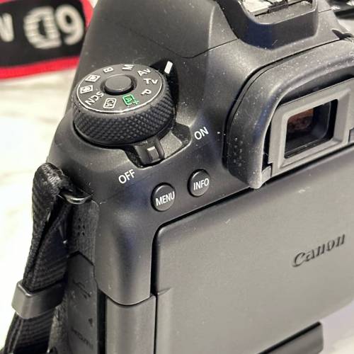 Canon 6D Mark II with EF 24-70mm f/ 4L IS USM Micro