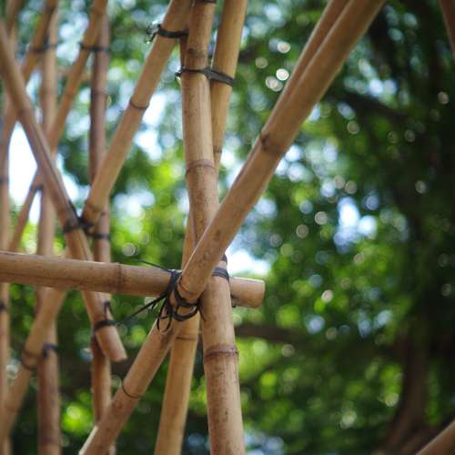 Angenieux Type Y31 60mm f1.8 L/M coupling modified lens