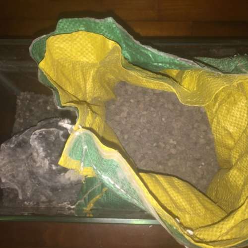 魚缸（所見即所得）